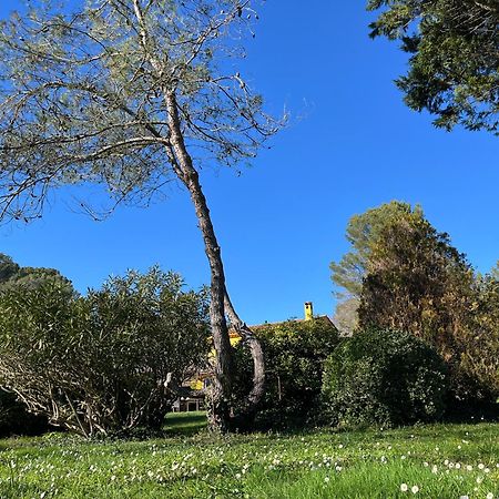 ואלבון Villa De Miha מראה חיצוני תמונה
