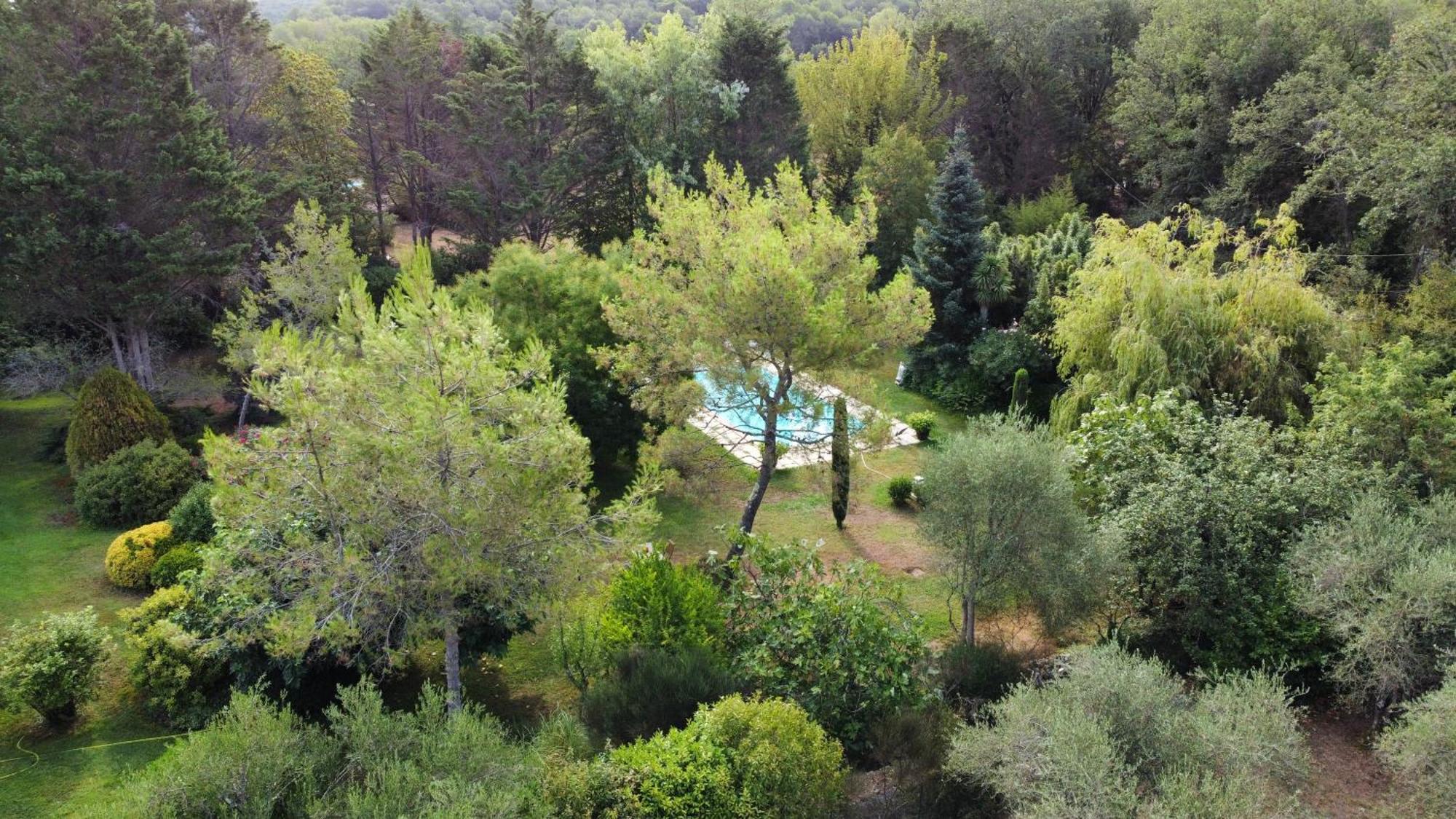 ואלבון Villa De Miha מראה חיצוני תמונה