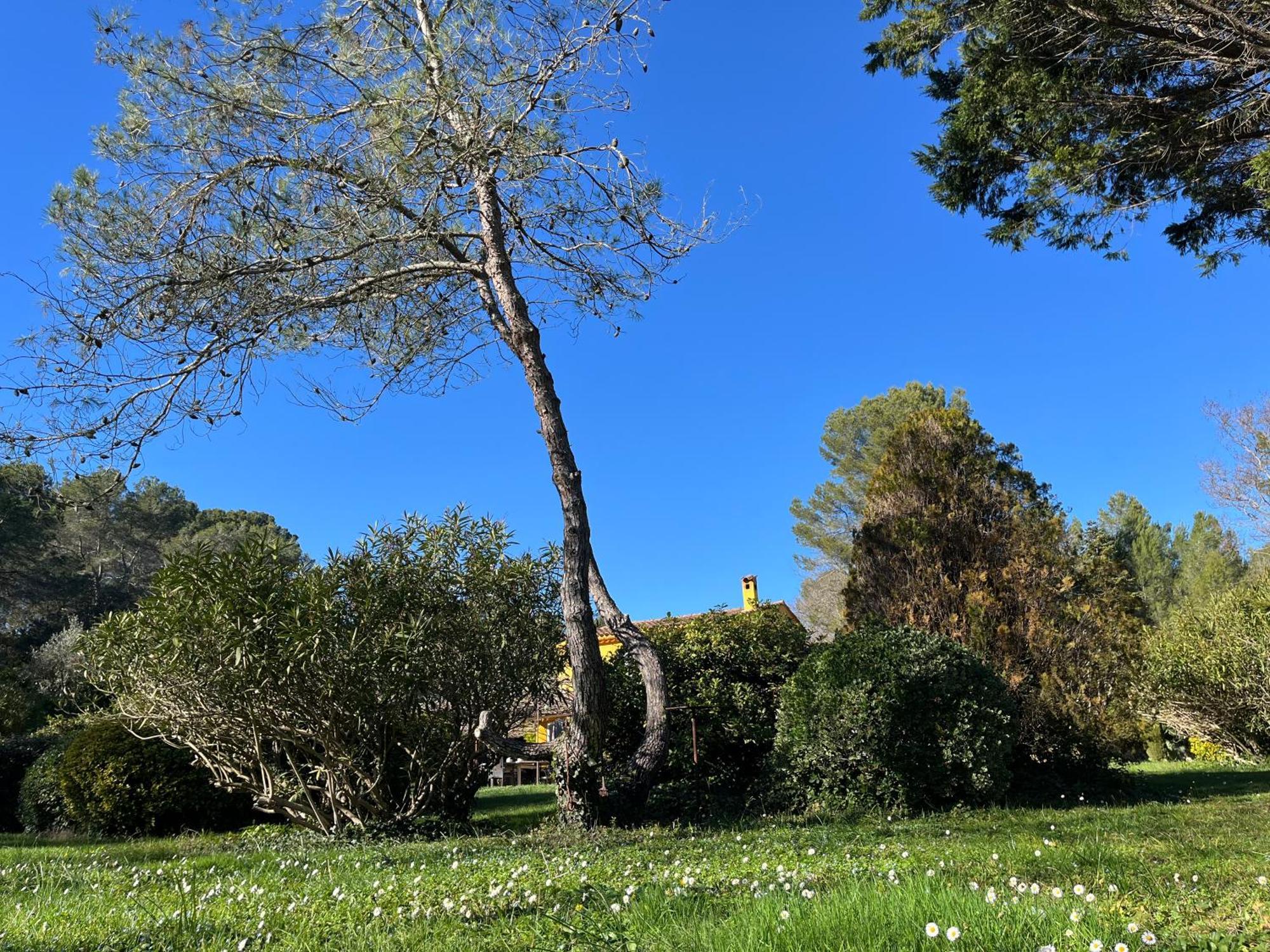 ואלבון Villa De Miha מראה חיצוני תמונה